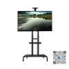 Giá Treo Tivi Di Động NB AVA1800-70-1P (55 – 90 Inch)