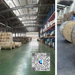 Cáp quang ADSS 12Fo single mode khoảng vượt 300m