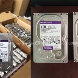 Ổ cứng Western Digital Purple 8TB WD82PURZ - ổ cứng cho đầu ghi camera